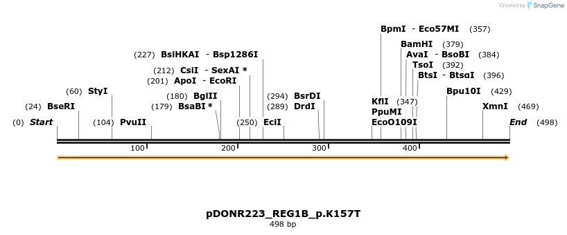 154602_map