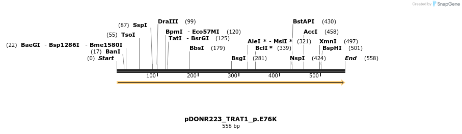 154604_map