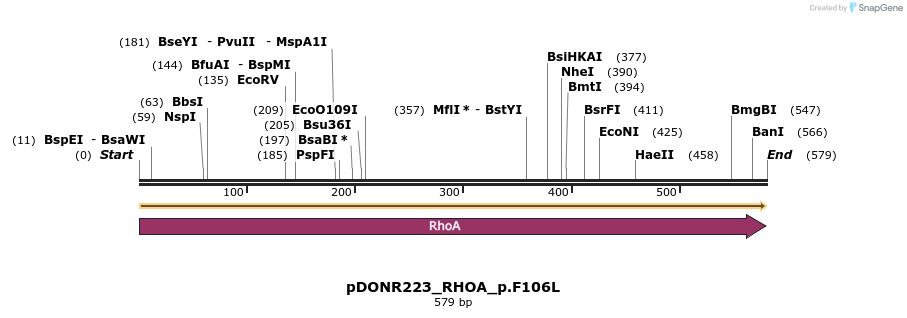 154605_map