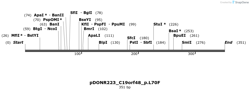 154607_map
