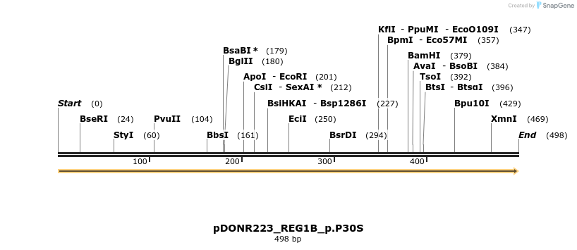 154610_map