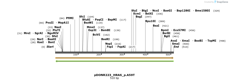 154611_map