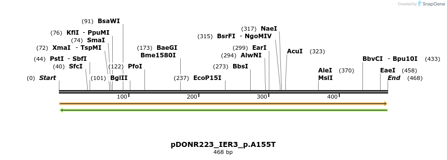 154616_map