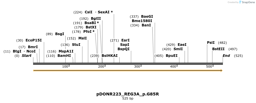 154618_map