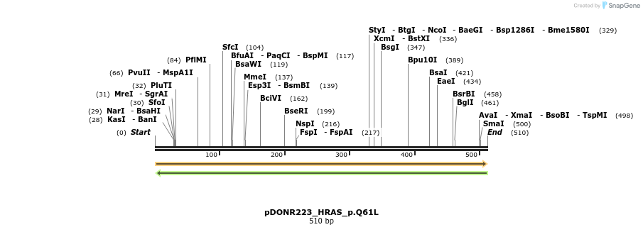 154621_map