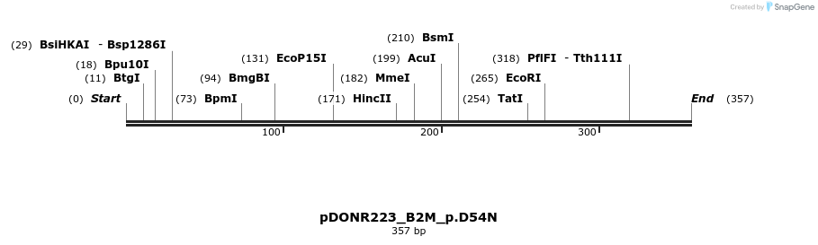 154622_map