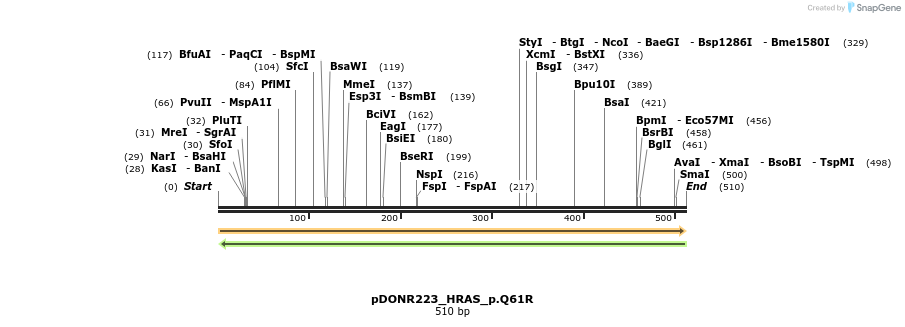 154630_map