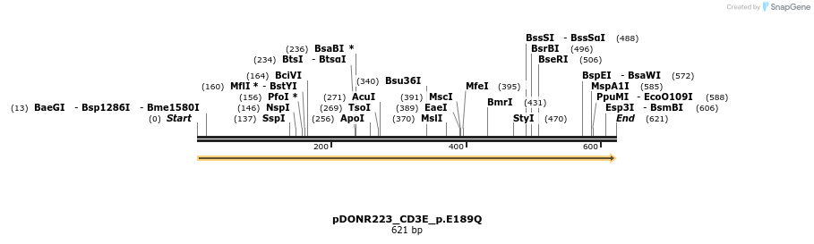 154633_map