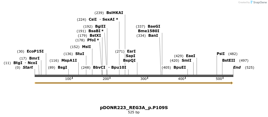 154634_map