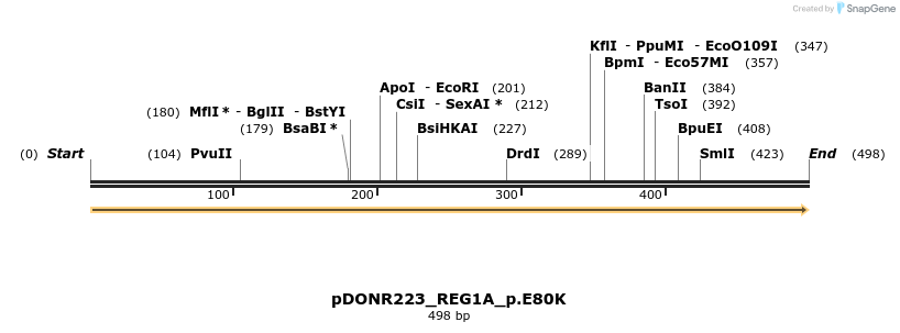 154637_map