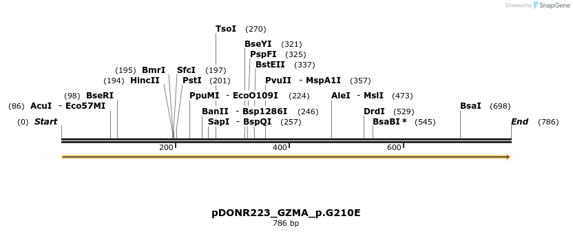 154644_map