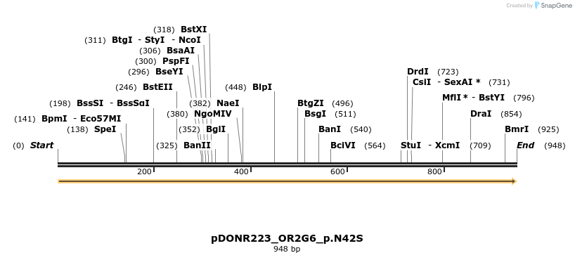 154647_map