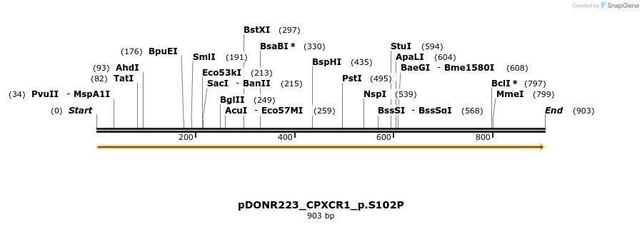 154659_map