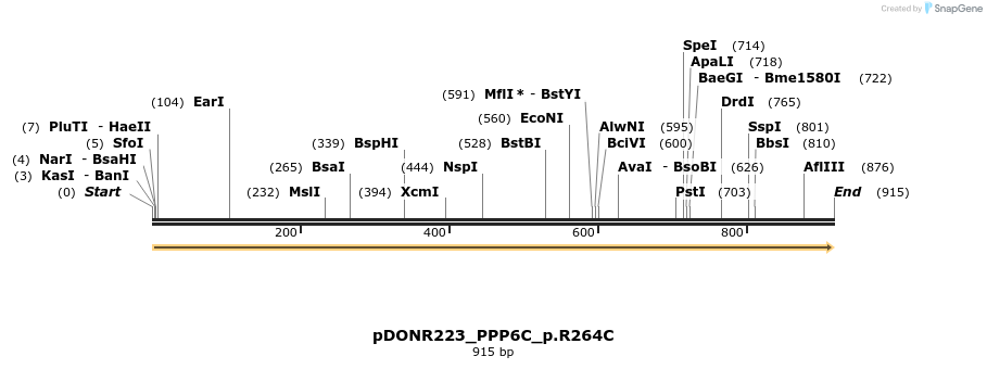 154660_map