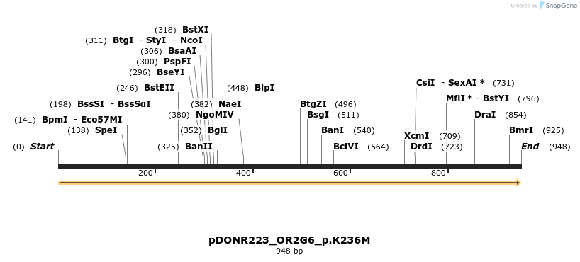 154661_map
