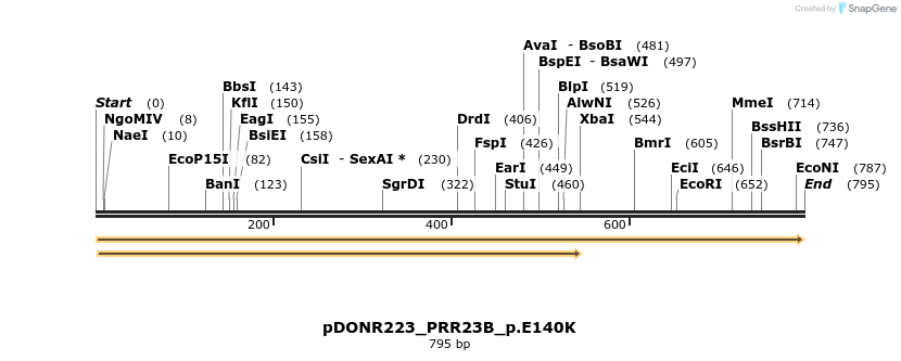 154664_map