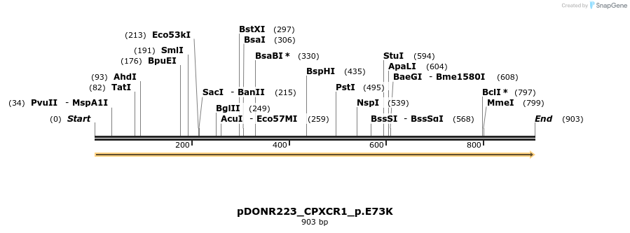 154665_map