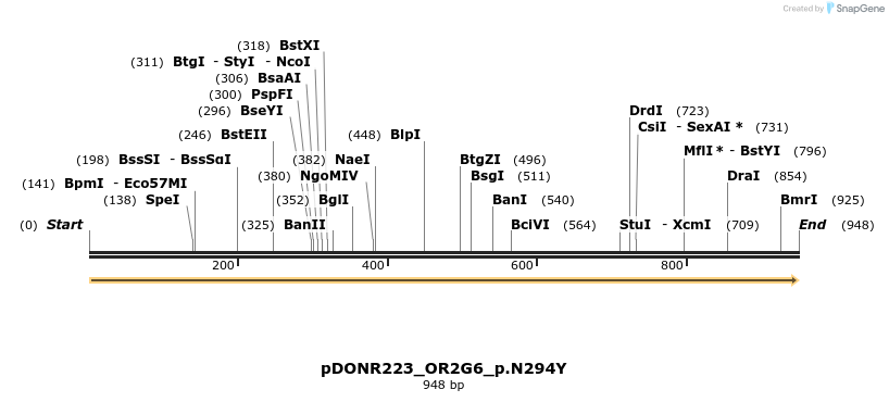 154667_map
