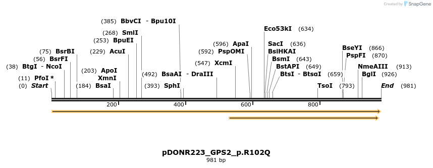 154668_map