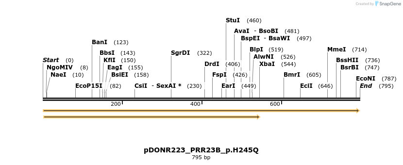 154670_map
