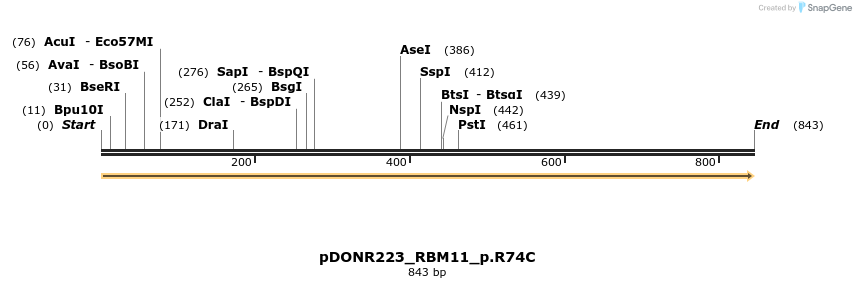 154671_map