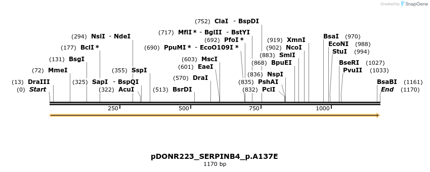 154674_map