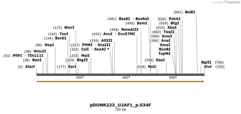 154677_map