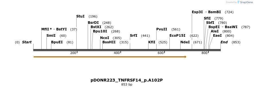 154679_map