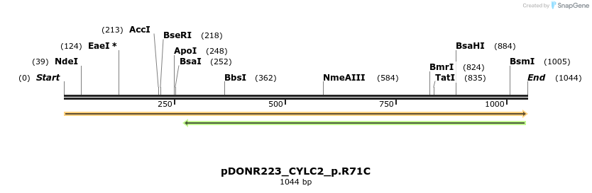 154681_map