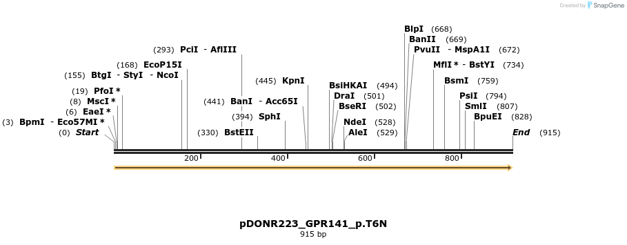 154683_map