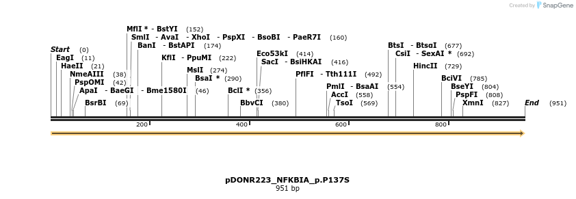154686_map