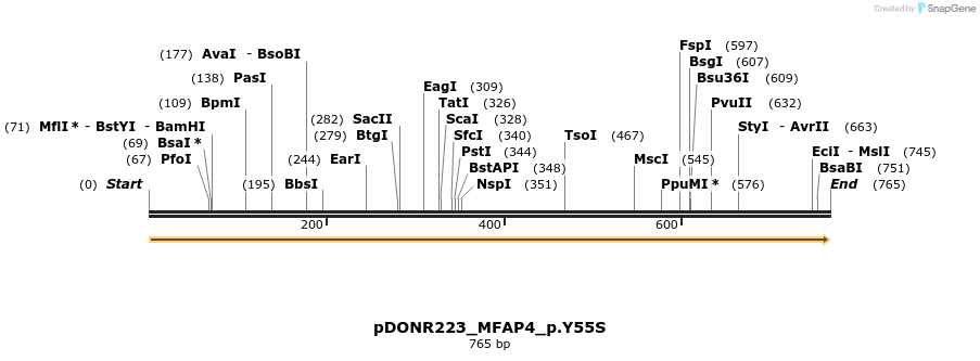154688_map