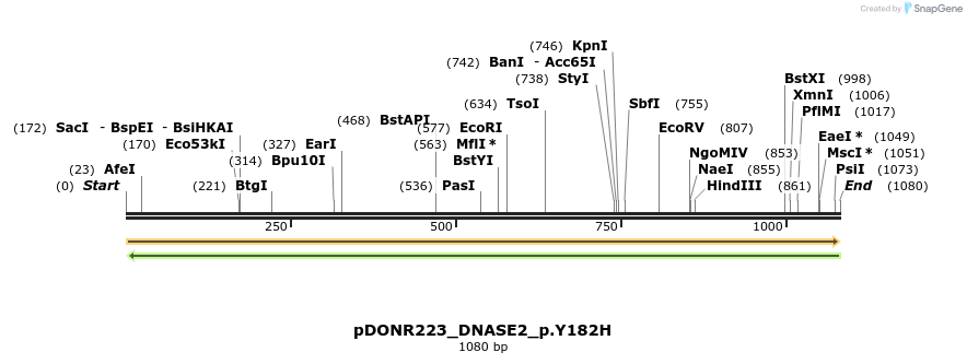 154693_map