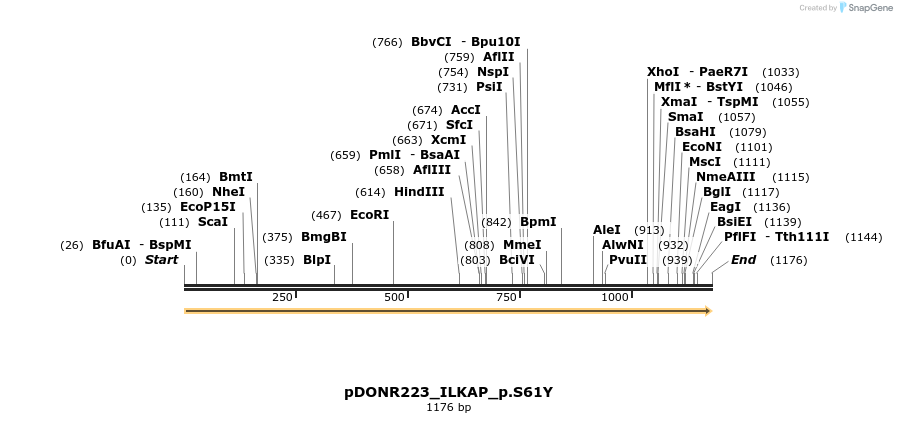 154695_map