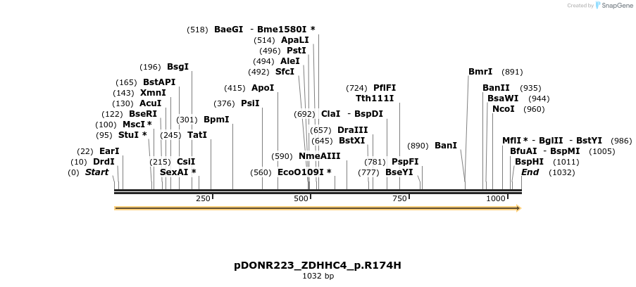154697_map