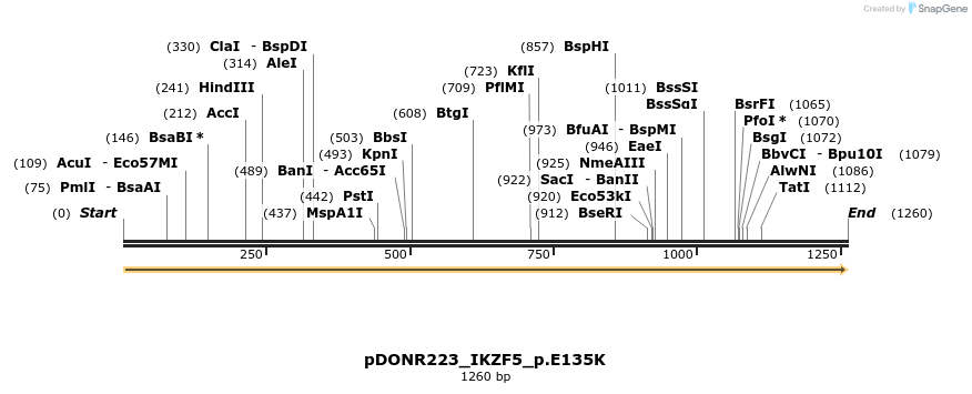 154703_map