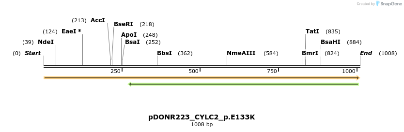 154704_map