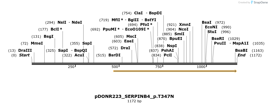 154713_map