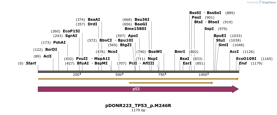 154719_map