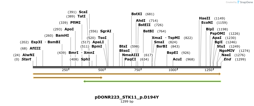 154720_map