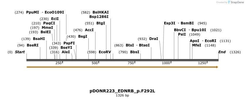 154721_map