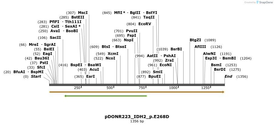 154722_map