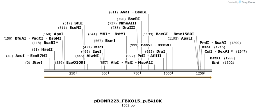 154724_map