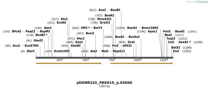 154728_map