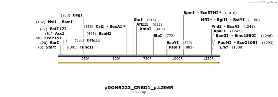 154733_map