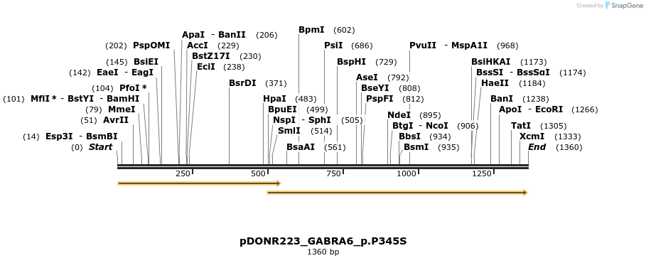 154738_map