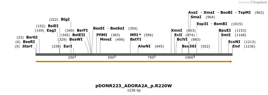 154744_map
