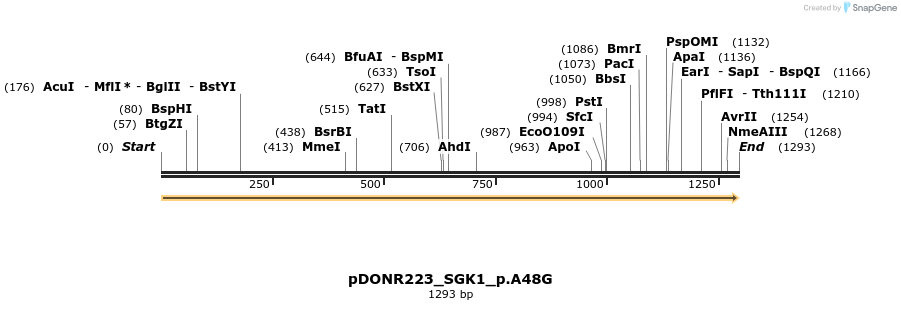 154749_map