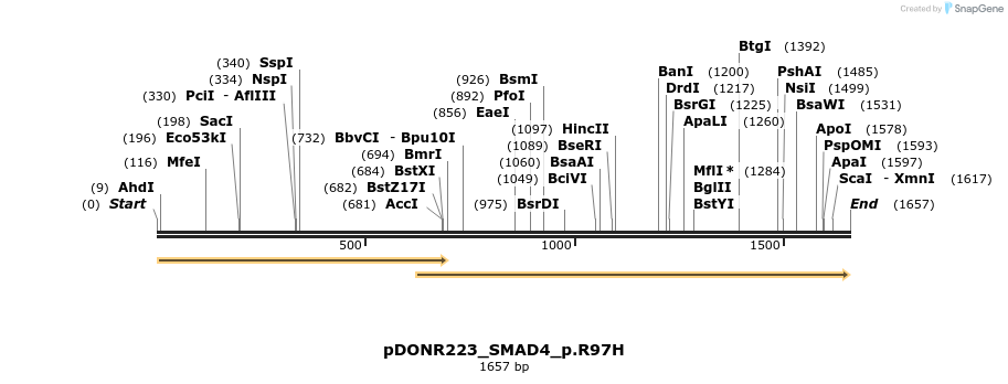 154756_map