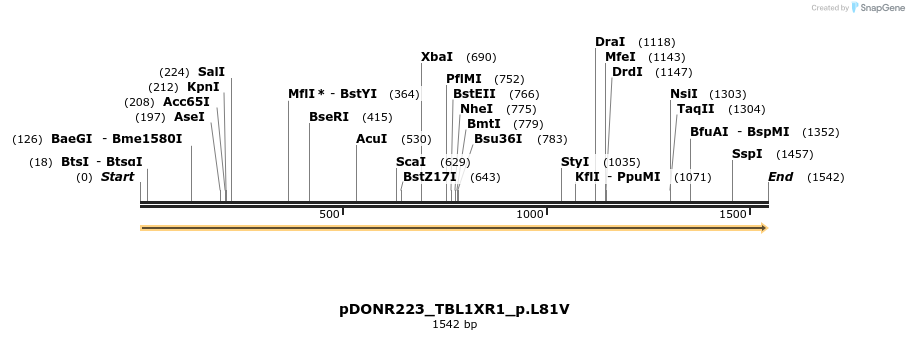 154758_map